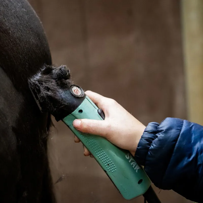 Lister Star Clipper Bundle - Green-1